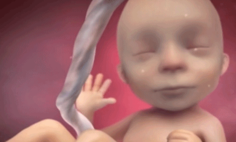 为什么剪脐带要先夹住剪脐带时，是宝宝疼还是妈妈疼？_https://www.jmylbn.com_新闻资讯_第5张