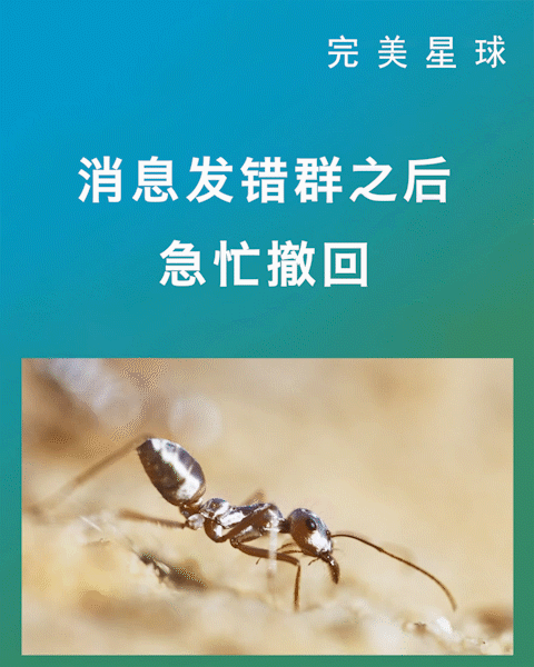 这一集里的动物是不是多种多样,让你看的眼花缭乱呢~而且萌点超多