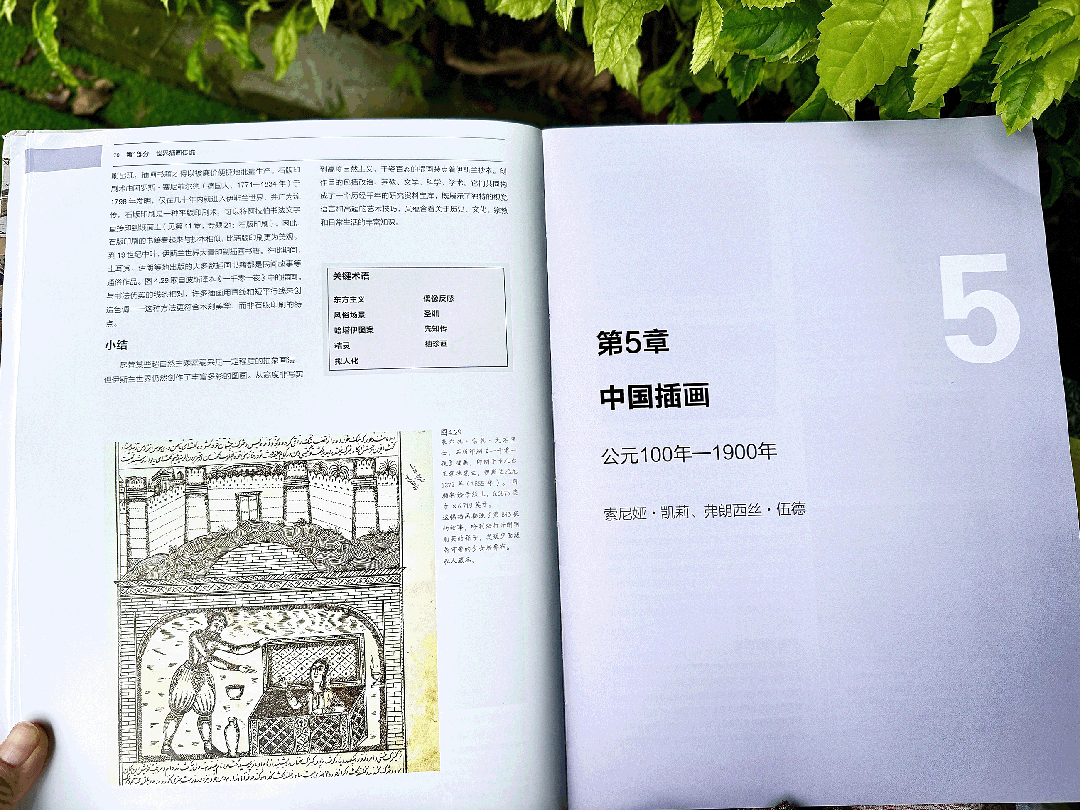图片