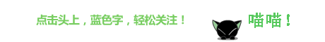 鏟屎官剛領養了隻小貓，爺爺還不是很喜歡 寵物 第1張