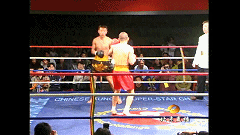 大学排行榜_大秦赋_大一匹