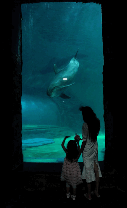 【春节特惠】杭州长乔极地儿童票，还有春节鲸喜特别演出~近距离观看极地海洋生物~带你了解深海故事！