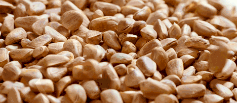 提高试管婴儿成功率，需要给你的精子加点“料”！