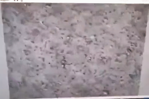 提高试管婴儿成功率，需要给你的精子加点“料”！