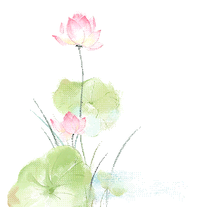 传承中药文化打造药香校园——金华实验小学开展“药食同源说中药”知识健康讲座