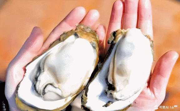 GIF 2025-2-18 11-57-08.gif