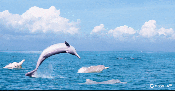 GIF 2025-2-18 15-14-12.gif