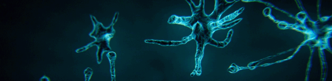 毛囊细胞存储，守护颜值时代的“头”等大事！