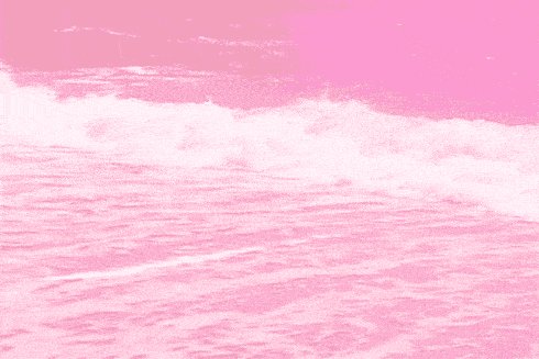 【佛山】【爆款来袭】19.9元抢原价38元南海湿地门票，来打卡网红粉色沙滩，给你一场浪漫的粉色之旅~还有网红桥、弹跳飞人、孟婆汤以及诸多网红项目等你来打卡哟~