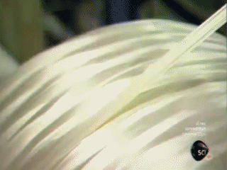 碳纤维材料—制造过程认识的图5