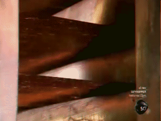 碳纤维材料—制造过程认识的图6