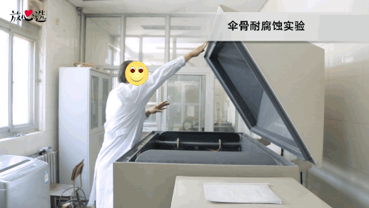 防晒大作战—24把遮阳伞终极PK,谁才是地表防晒神器?