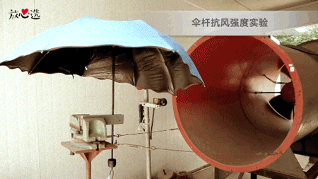 防晒大作战—24把遮阳伞终极PK，谁才是地表防晒神器？
