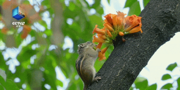 △纪录片《去有光的地方》