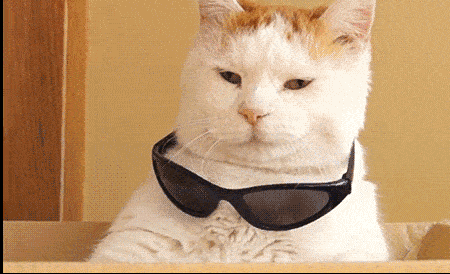 威海金蝶财务软件