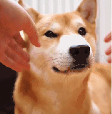 光疗箱报警怎么处理【操作指南】婴幼儿蓝光治疗_https://www.jmylbn.com_新闻资讯_第2张