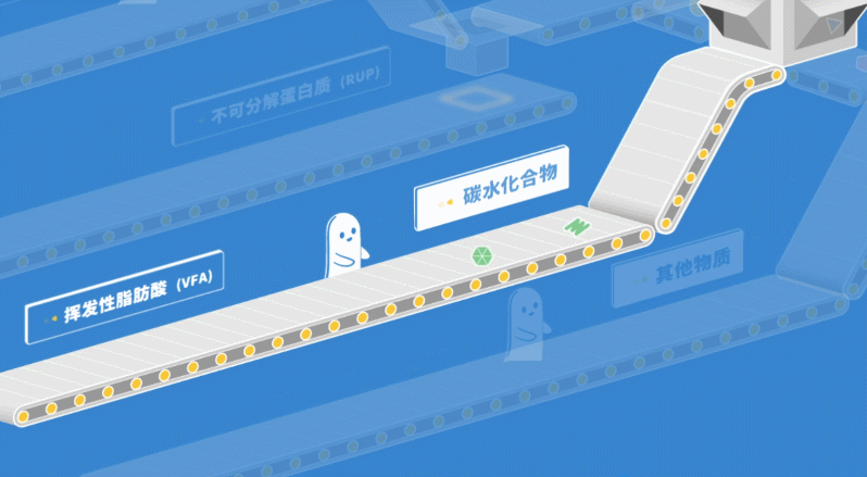 从牧场到餐桌 一杯好牛奶是如何诞生的 全网搜