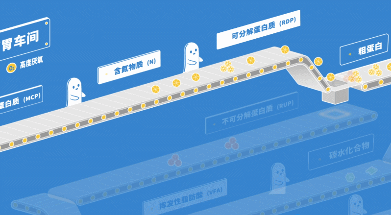 从牧场到餐桌 一杯好牛奶是如何诞生的 全网搜