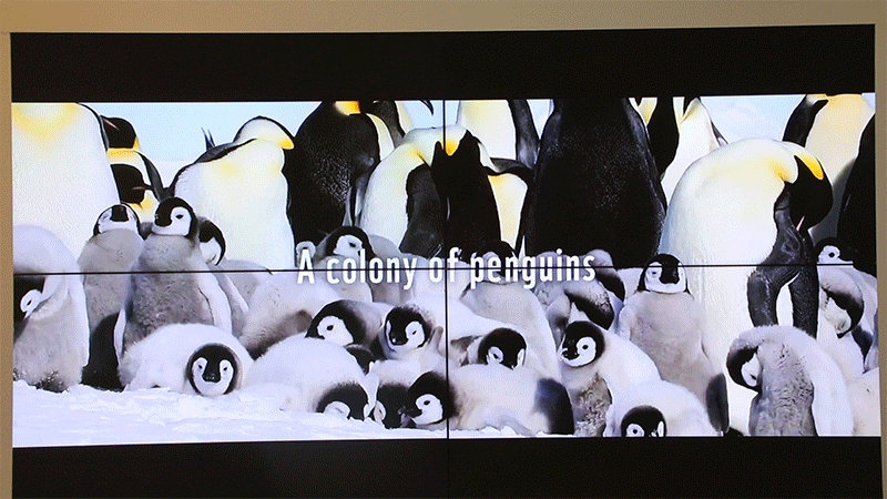 藍(lán)色海洋，凈塑自然沉浸式藝術(shù)展(圖7)