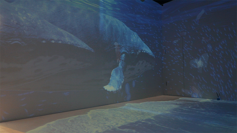 藍(lán)色海洋，凈塑自然沉浸式藝術(shù)展(圖14)