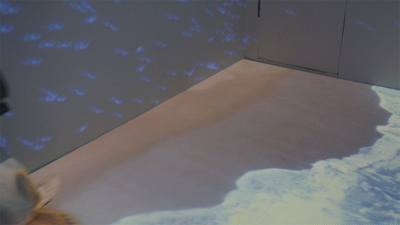 藍(lán)色海洋，凈塑自然沉浸式藝術(shù)展(圖15)