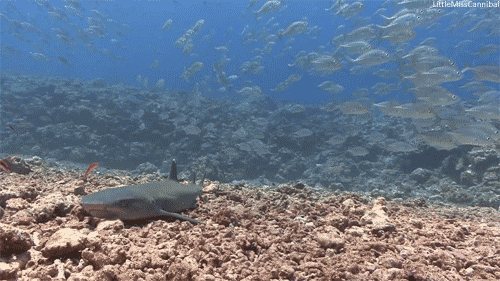 30年前vs现在，你的健康安排上了吗？