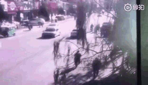 辽宁奥迪车撞学生致5死19伤 嫌疑人排除酒驾毒驾已刑拘