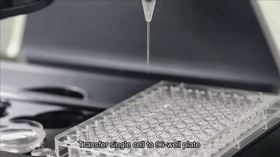 32.gif 图片
