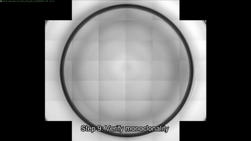 323.gif 图片