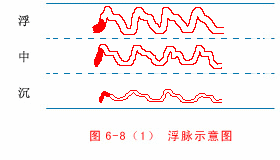 为什么心是钩脉高清【人纪】倪海厦老师讲解《黄帝内经》第27集：4-3 平人气象论。_https://www.jmylbn.com_新闻资讯_第10张