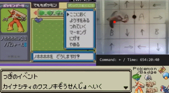 斗鱼寿命 【白夜谈】一条玩宝可梦的鱼去世了