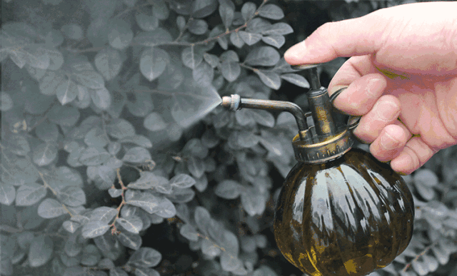 天然肥料，你还担心养不好植物吗？