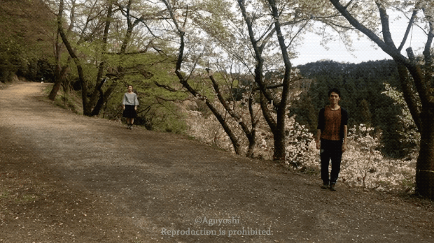 这也是舞蹈吗,跟我想象的舞蹈不一样啊