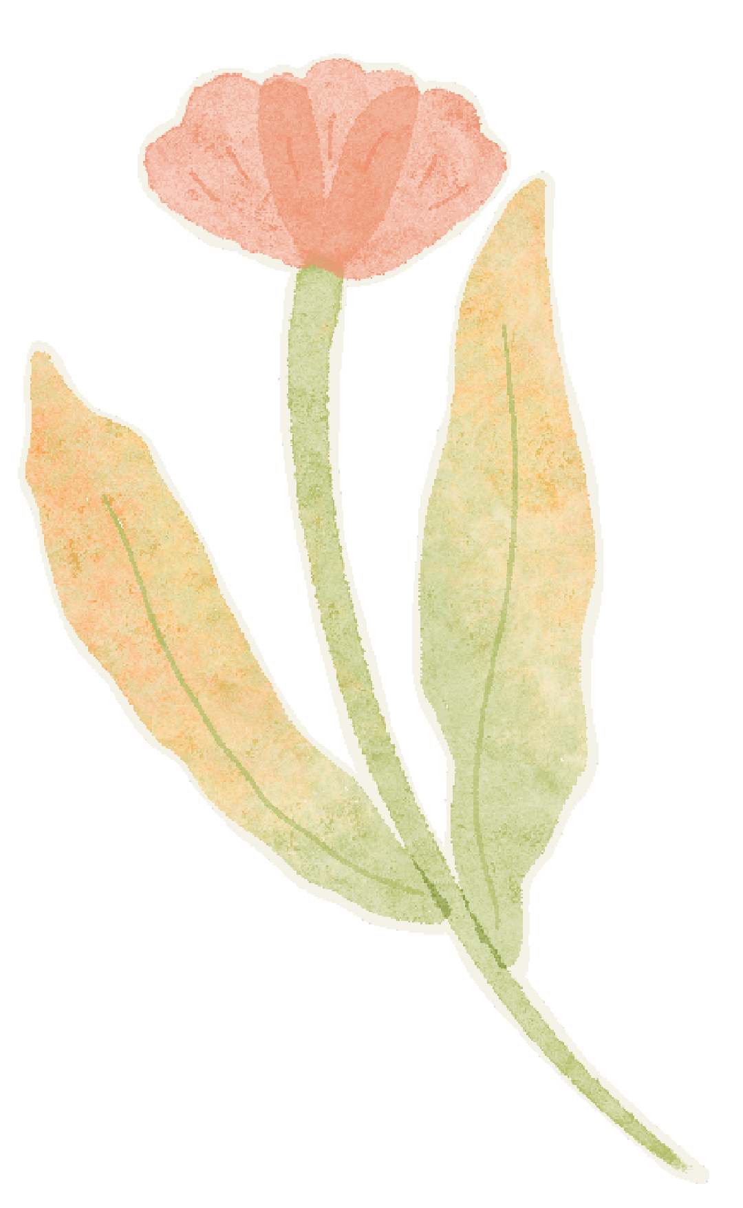 洞箫声漾前海畔，传统民乐润师心——市级面授课程《风花国乐-洞箫吹奏与养生》培训纪实洞箫声漾前海畔，传统民乐润师心——市级面授课程《风花国乐-洞箫吹奏与养生》培训纪实,深圳教育研修院