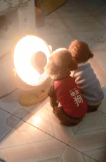 三只柯基爆笑取暖引网友调侃:赶紧翻面儿吧,都烤糊了,哈哈哈哈-微信头条网 三只柯基爆笑取暖引网友调侃:赶紧翻面儿吧,都烤糊了,哈哈哈哈
