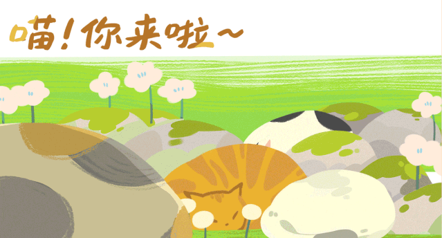 奇妙精灵怎么用来阿那亚·金山岭，与100只“小狗鬼”共度山谷精灵奇妙之旅_https://www.jmylbn.com_新闻资讯_第1张