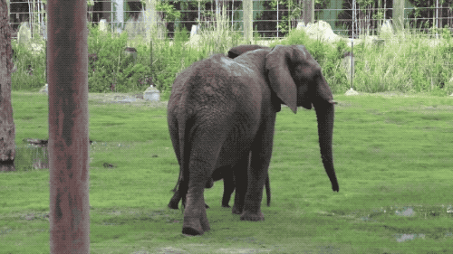 500_281gif 动态图 动图