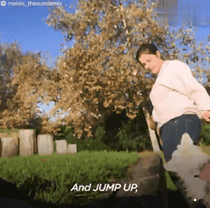 領養了一只又聾又瞎的狗狗，為了和它交流，她發明了一套手語 寵物 第10張