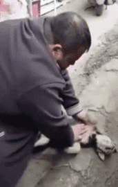 流浪狗餓急了吃東西差點噎死，幸好一好心大叔出現... 寵物 第3張