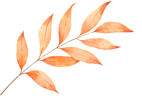 医疗器械厂家怎么招商【市场空间大】西地那非／胶原蛋白贴敷，药品+医疗器械双线布局，源头厂家！_https://www.jmylbn.com_新闻资讯_第13张