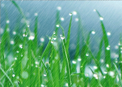 【健康】雨水養生，整年身體舒暢精神好！ 健康 第3張