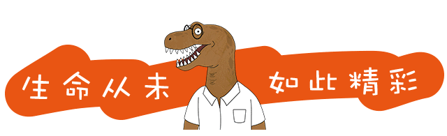 一分钟告诉你发际线后移怎么办l飞碟一分钟