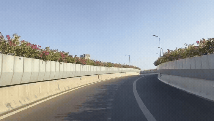 高架、街巷一路生花，金牛人：这浪漫我熟！插图9