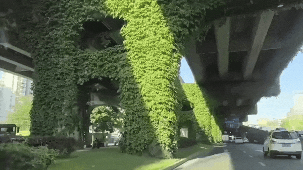 高架、街巷一路生花，金牛人：这浪漫我熟！插图21