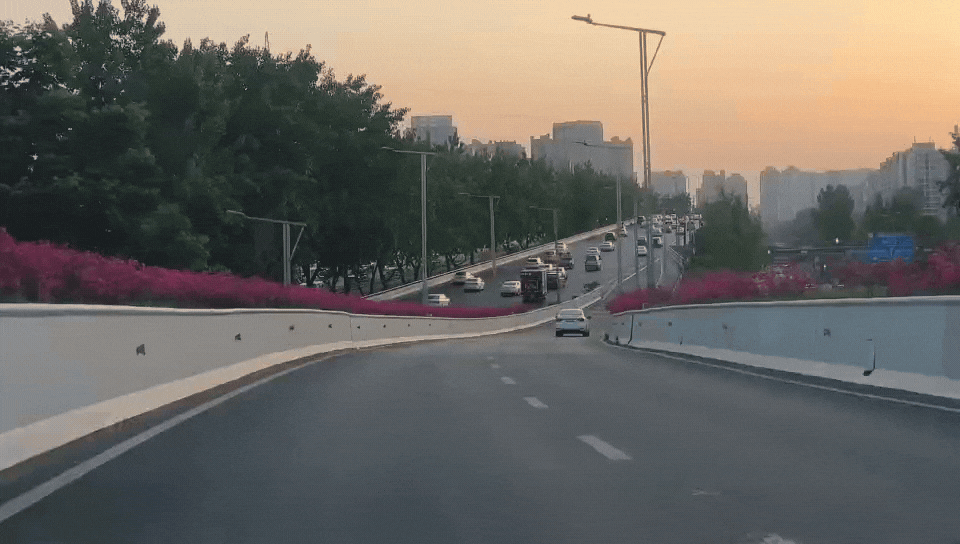 高架、街巷一路生花，金牛人：这浪漫我熟！插图11