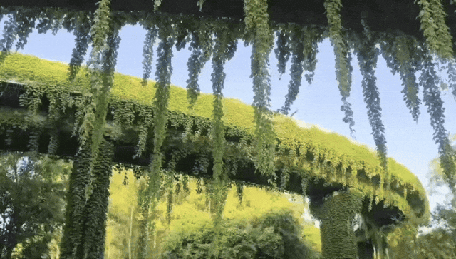 高架、街巷一路生花，金牛人：这浪漫我熟！插图18