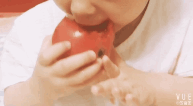 普罗旺斯西红柿简介产地_普罗旺斯西红柿简介_普罗旺斯西红柿简介展板