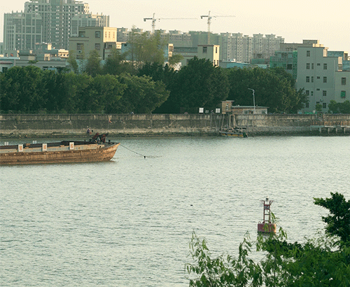 ���գ���ţ���趼���ˣ�