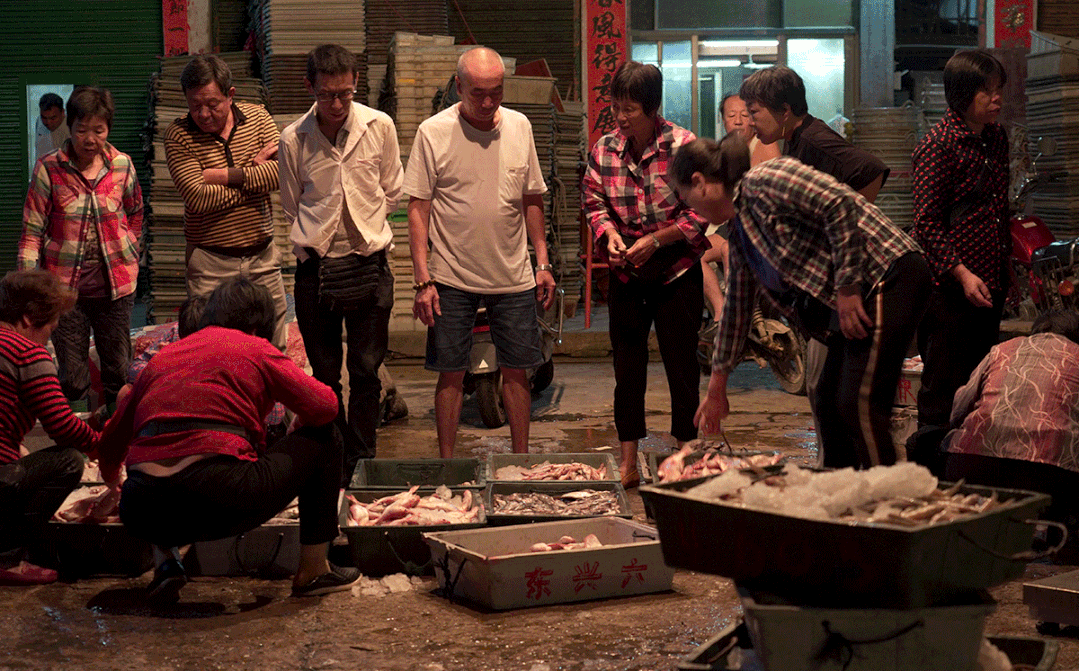 ���գ���ţ���趼���ˣ�