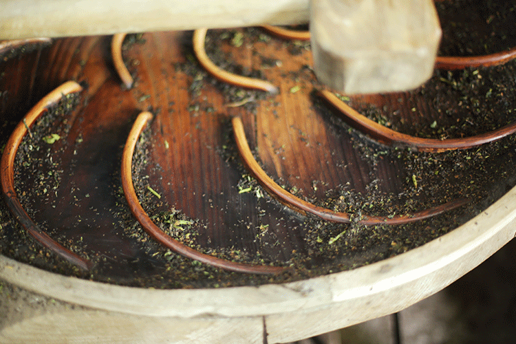 ���̲辪�ޣ��ȿ�����ͷ���úȻ�����Ҵ��������һ�����